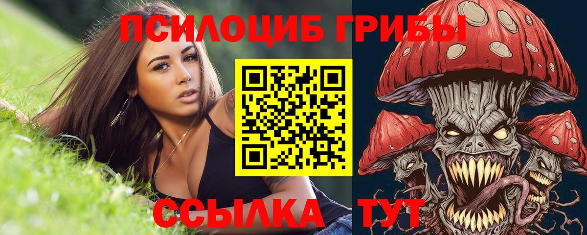 Галлюциногенные грибы мицелий  Вход с VPN  Красногорск  Псилоцибиновые грибы прущие грибы 